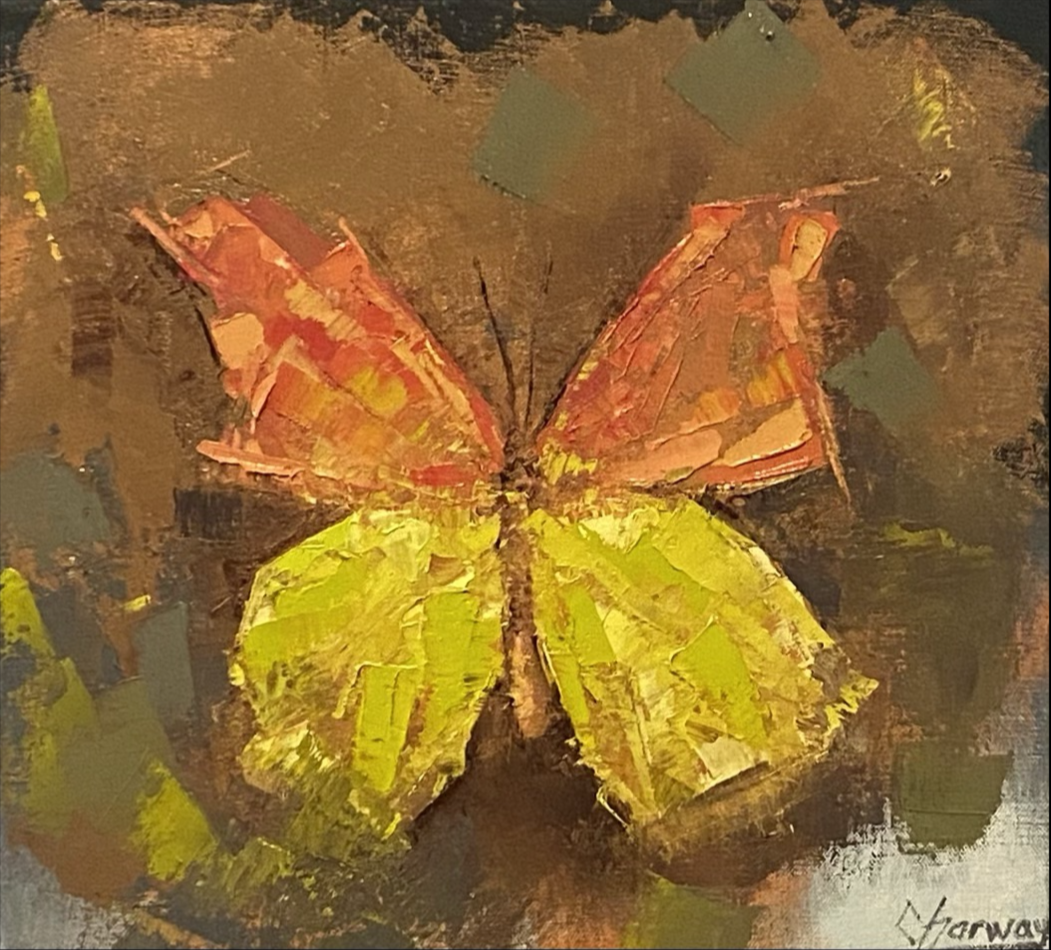 Wings n° I, roter Schmetterling auf dunkelbraunem Grund